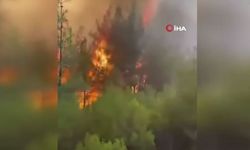 İtfaiyeciler alevlerin arasında kaldı