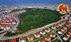 Nilüfer’in ismi nereden geliyor?