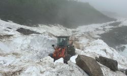 Haziran'da karla mücadele