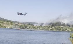 Bursa'da orman yangını