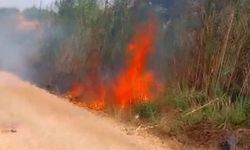 Sazlık yangını korkuttu