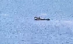 Yangın söndürme uçağı düştü