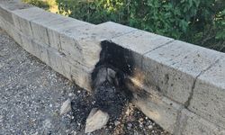 Tarihi köprüyü mangalcılar yaktı