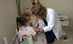 Yaz aylarında çarpma ve morluk riski