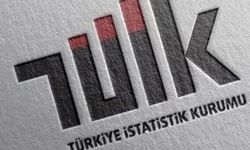 TÜİK'ten istihdam göstergeleri