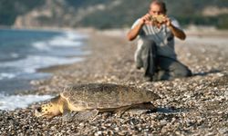 Çıralı'dan carettalara destek