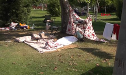 Yeşillik alanda ölü bulundu