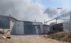 Mobilya fabrikasında yangın