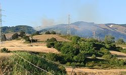 Bursa’da orman yangını