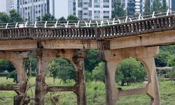 Güney Kore’de sel felaketi: 4 ölü