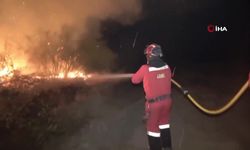 3 bin hektarlık alan yandı