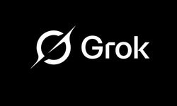 Grok’a soruşturma başlatıldı