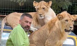Aslanın sahibi konuştu