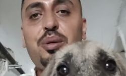 Canını hiçe sayıp yavru köpeği kurtardı
