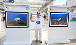 Akdeniz'in sessiz tanıkları terminalde sergileniyor