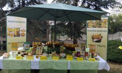 Ankara'da Mango festivali
