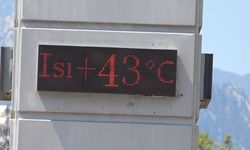 Antalya'da sıcaklık 43 derece