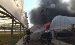 Mobilya atölyesi yangınında faciadan dönüldü