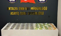 Antalya'da döviz ve altın hırsızlığı