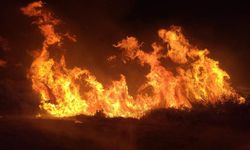 8 dönümlük tarım arazisi zarar gördü