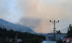 Havadan müdahale yeniden başladı