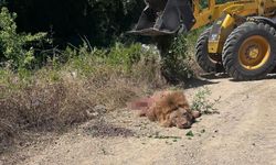 Saldırıya uğrayan çiftçi o anları anlattı