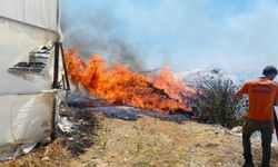 Serik'te çalılık yangını seralara sıçradı