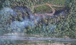 Bayramiç'teki yangın kontrol altına alındı