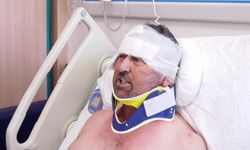 Sivrisinekten kaçtı, aslana yakalandı