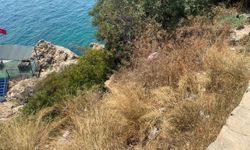 Manzara hastanelik etti