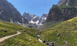 Cilo Dağı'nda buzullar hızla eriyor
