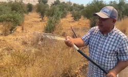 Aksu'da yangına hortumlarla müdahale