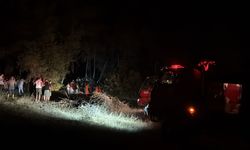 Orman yangını kısa sürede söndürüldü