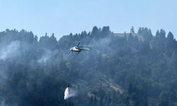 Osmaniye'de orman yangını