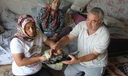 Yanan paralar için Merkez Bankası'na başvurdular