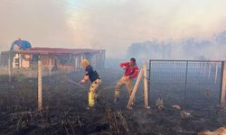 Silivri’deki orman yangınında 1 gözaltı