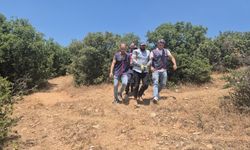 Hayvan derisinden elbise yapıp ormanda saklandı