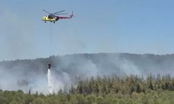 Çanakkale’de orman yangını