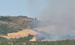 Manyas’ta orman yangını