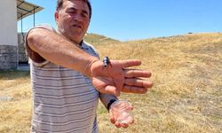 Öldürmenin cezası 557 bin TL