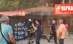 Manavgat'ta yangın paniği!