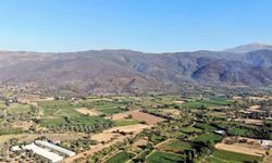 Ödemiş’in dağları siyaha büründü