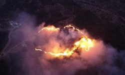 Keneyi yakacaktı, ormanı yaktı