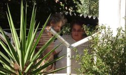 Evde sağlıksız koşullarda hayvan besleme şikayeti