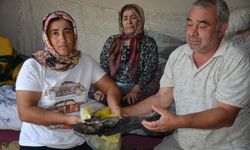 Birikimleri de kül oldu