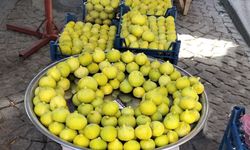Pazar tezgahlarında 250 liradan satışa çıktı