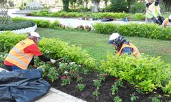Kepez’den yeşil alanlara özenli dokunuş