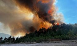 Sındırgı'daki yangını söndürme çalışmaları sürüyor