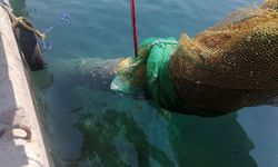 Balıkçı ağına denizaltı torpidosu takıldı