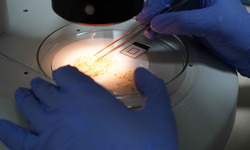 Mikroplastik tehlikesi hayatı tehdit ediyor